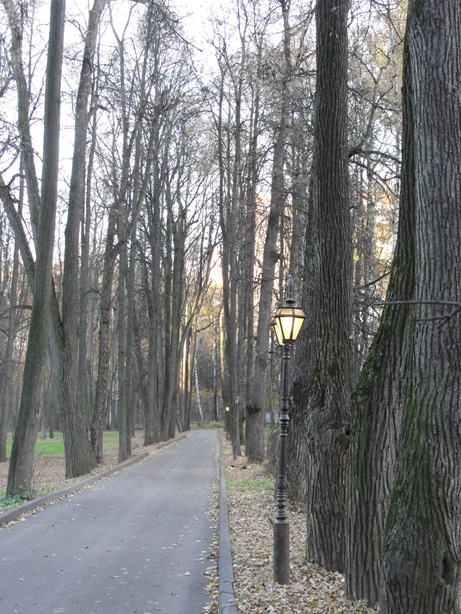 Аллея на закате - Волынское