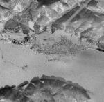 Спутниковый снимок Николаевска-на-Амуре 22.01.66 % Satellite pic of Nikolaevsk