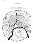 Репринт Плана Москвы Чаянова % Reprint of Moscow plan by Chayanov