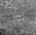 Ханты-Мансийск и окрестности со спутника 27.09.69 %Satellite image of Khanty-Mansiysk