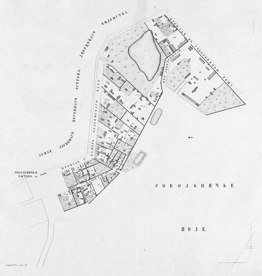 Сокольничье поле - 2
