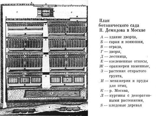 План Ботанического сада И. Демидова
