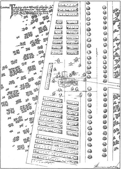 Схема расположения храма Спаса Преображения на Московском городском Братском кладбище
Показан участок Братского кладбища, в центре которого находится Храм Спаса Преображения

