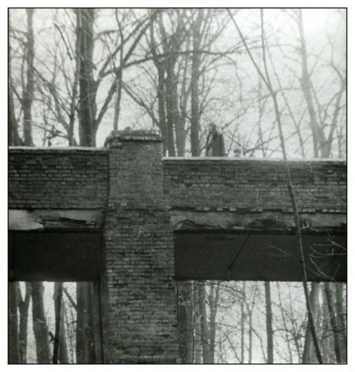 Мост усадьбы через овраг
Старый кирпичный мост позже был отреставрирован.
Ключевые слова: Усадьба Братцево;