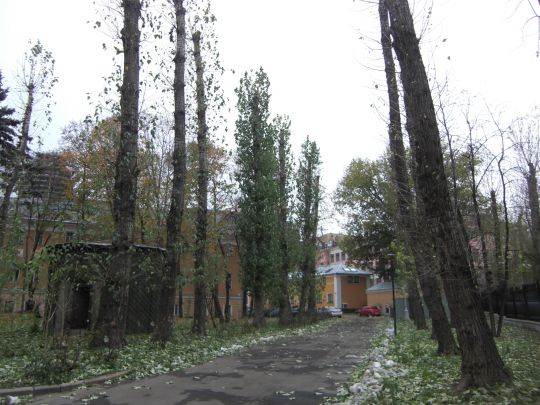  парк за флигелем  на территории усадьбы графа Александра Остермана-Толстого
парк за флигелем  на территории усадьбы графа Александра Остермана-Толстого / парк Духовной Семинарии
Ключевые слова: сад Эрмитаж