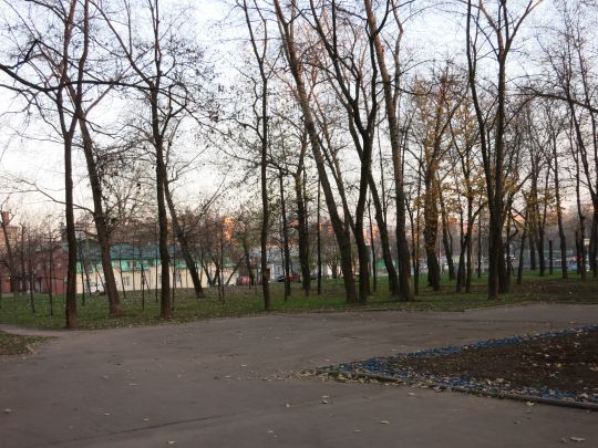 Территория усадьбы Найдёновых
Место, где находился большой пруд.
Ключевые слова: Территория усадьбы Найдёновых